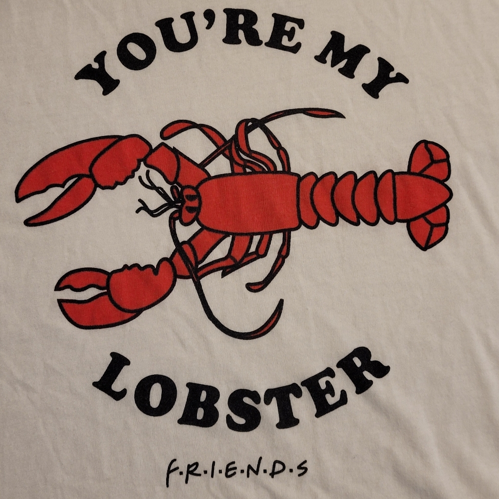 FRIENDS You're My Lobster Hi-lo Tee Soft & Comfy Women's Slim Fit XXL White - Picture 11 of 11